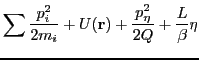 $\displaystyle \sum\frac{p_{i}^{2}}{2m_{i}}+U(\mathbf{r})+\frac{p_{\eta}^{2}}{2Q}+\frac{L}{\beta}\eta$