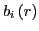 $b_{i}\left(r\right)$